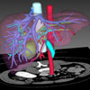 3D liver transplant