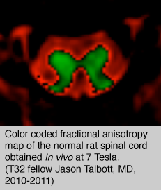 T32 Coursework: Biostatistical methods