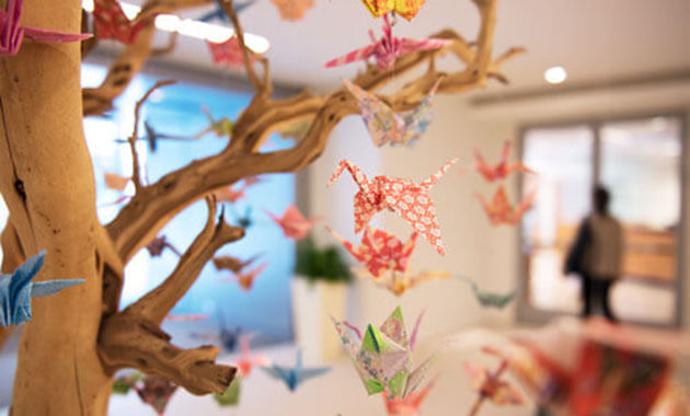 Work from home resources