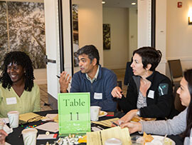 Faculty Development and Courses