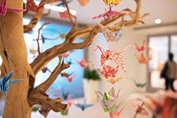 Wellness and Professional Climate