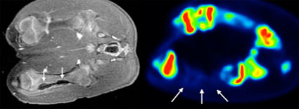 T32 Program Description