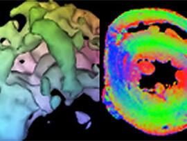 Joint Graduate Program in Bioengineering with UC Berkeley