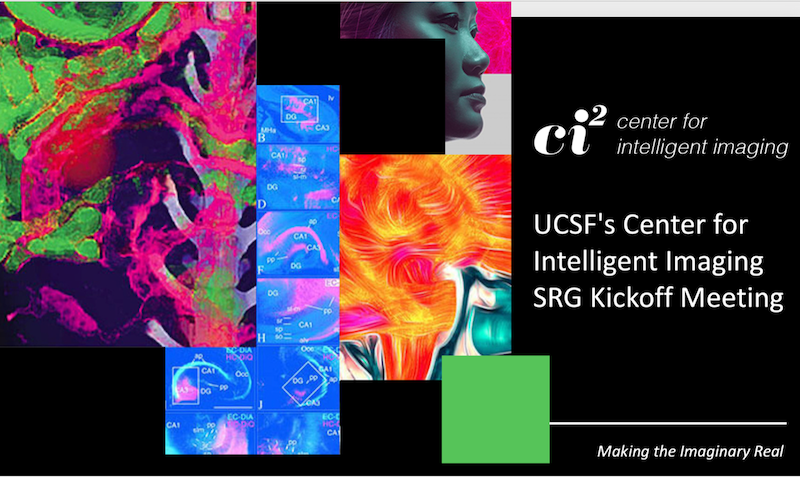 collage of random images