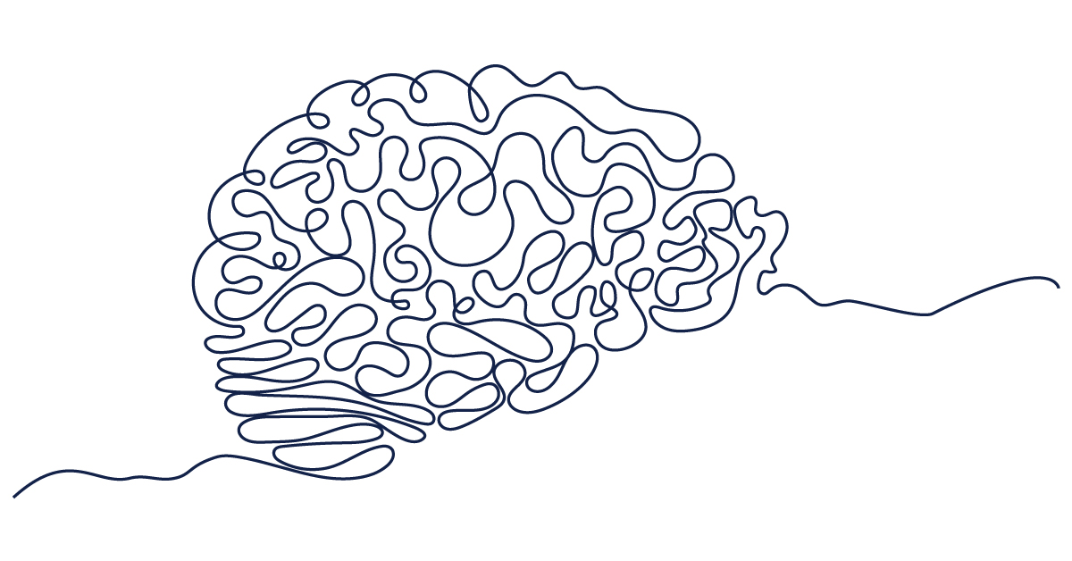 line drawing of the brain