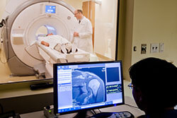 Prepare for my Radiology exam