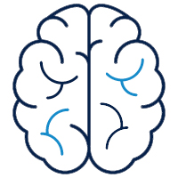 Illustration of a brain