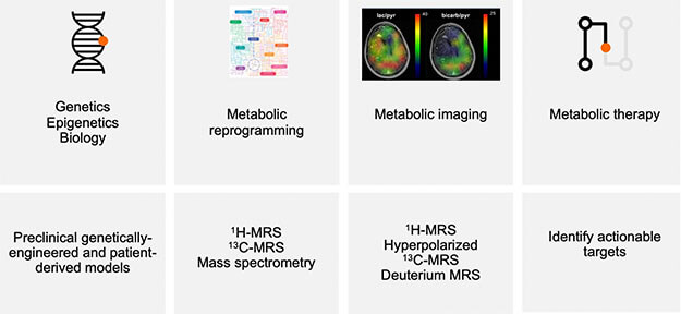 Developing an integrated metabolic therapy and imaging strategy for brain tumors. 