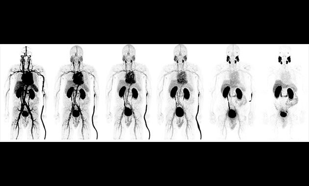 Chemistry, Probes & Molecular Therapy (CPMT)