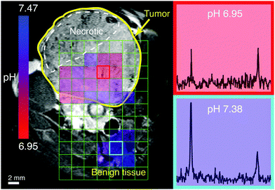 Dynamic nuclear polarization of biocompatible 13C-enriched carbonates for in vivo pH imaging