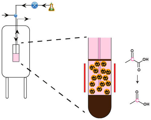 Detection of bacteria-specific metabolism using hyperpolarized [2-13C] pyruvate