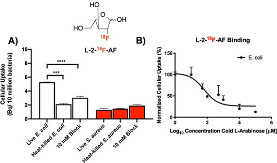 Arabinofuranose-derived PET radiotracers for detection of pathologic microorganisms