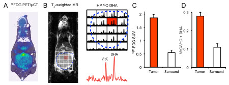Hyperpolarized 13C MR spectroscopy using [1-13C] dehydroascorbate in a murine model of prostate cancer: comparison with 18F-FDG