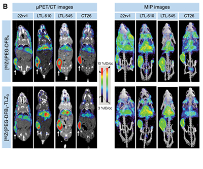 Coronal and maximum-intensity projection microPET/CT following nanocarriers. Figure 2.