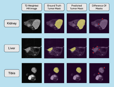 Single slice results from inference of the U-Net model across xenograft sites. Figure 3. 
