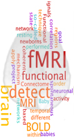 fmri-word2.jpg