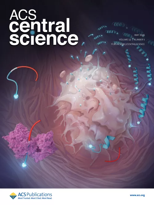 Illustrated cover of ACS Central Science (May 2026, Volume 12, Number 5). A large pale immune cell occupies the center, surrounded by glowing blue peptide-like helices and molecular probes interacting with its surface. A purple antibody-like protein appears in the lower left, while stylized red and blue molecular fragments float throughout the scene. The dark blue and purple background resembles cellular tissue, emphasizing molecular interactions and targeted immunotherapy. The ACS Central Science title is 