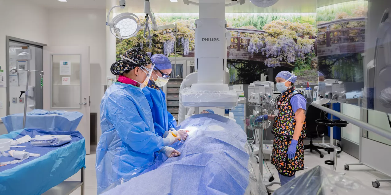 Image-guided patient procedure