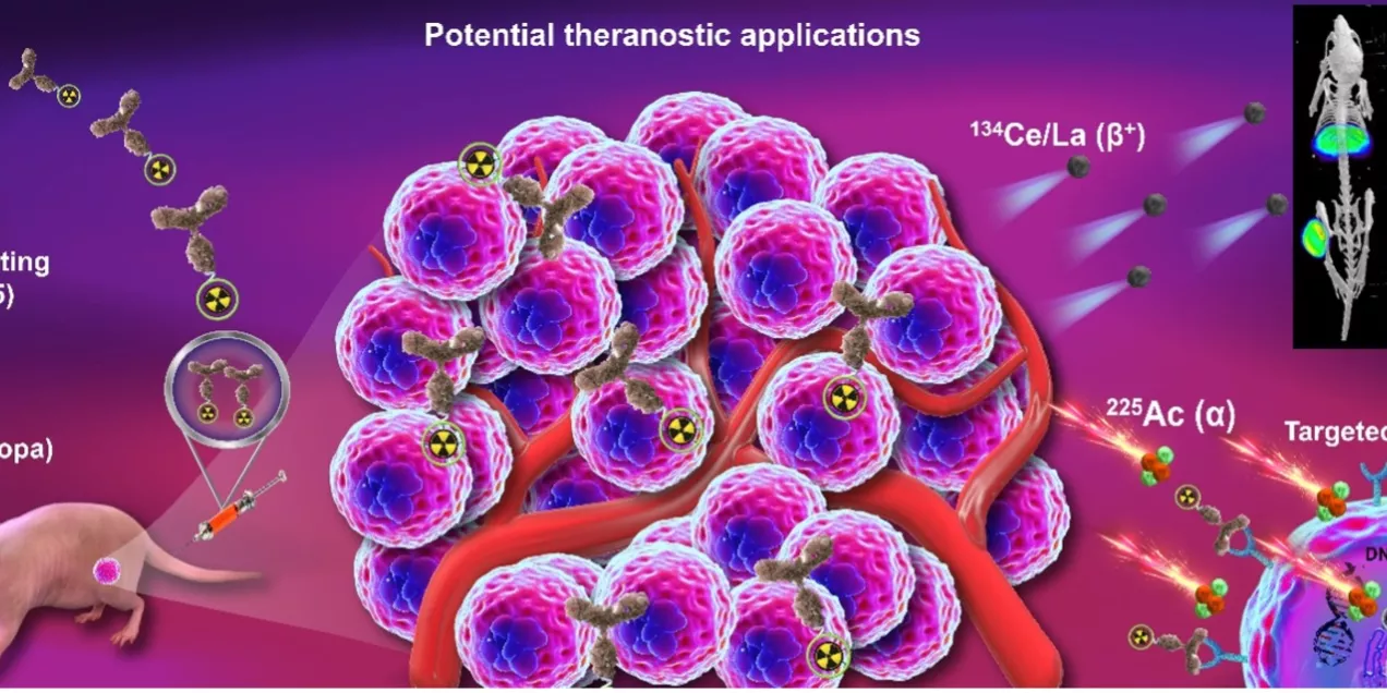 Development of 134Ce/225Ac theranostics for cancer treatment.