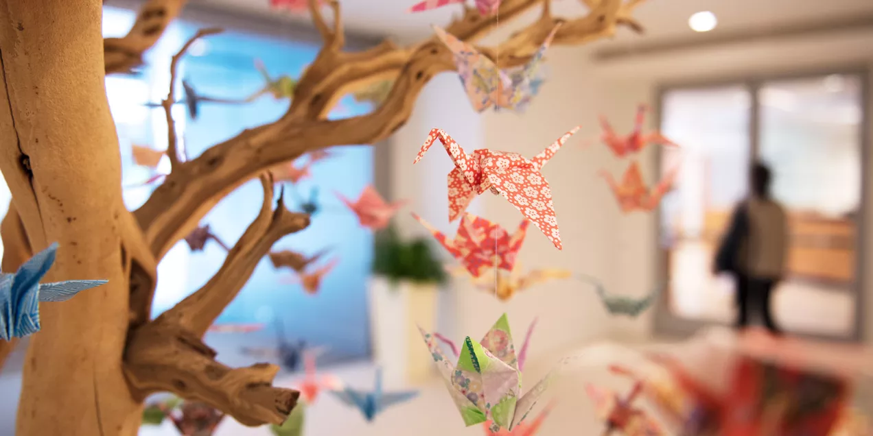 Wellness origami