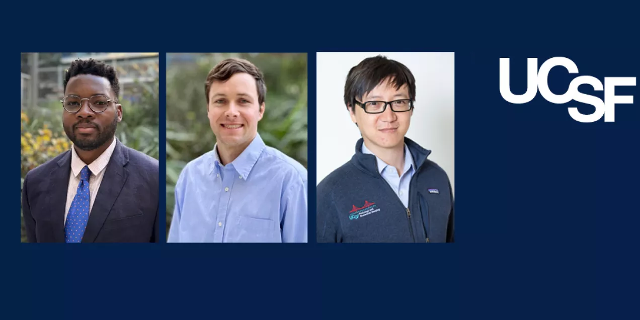 New faculty barkovich, Akinlusi, and Wang