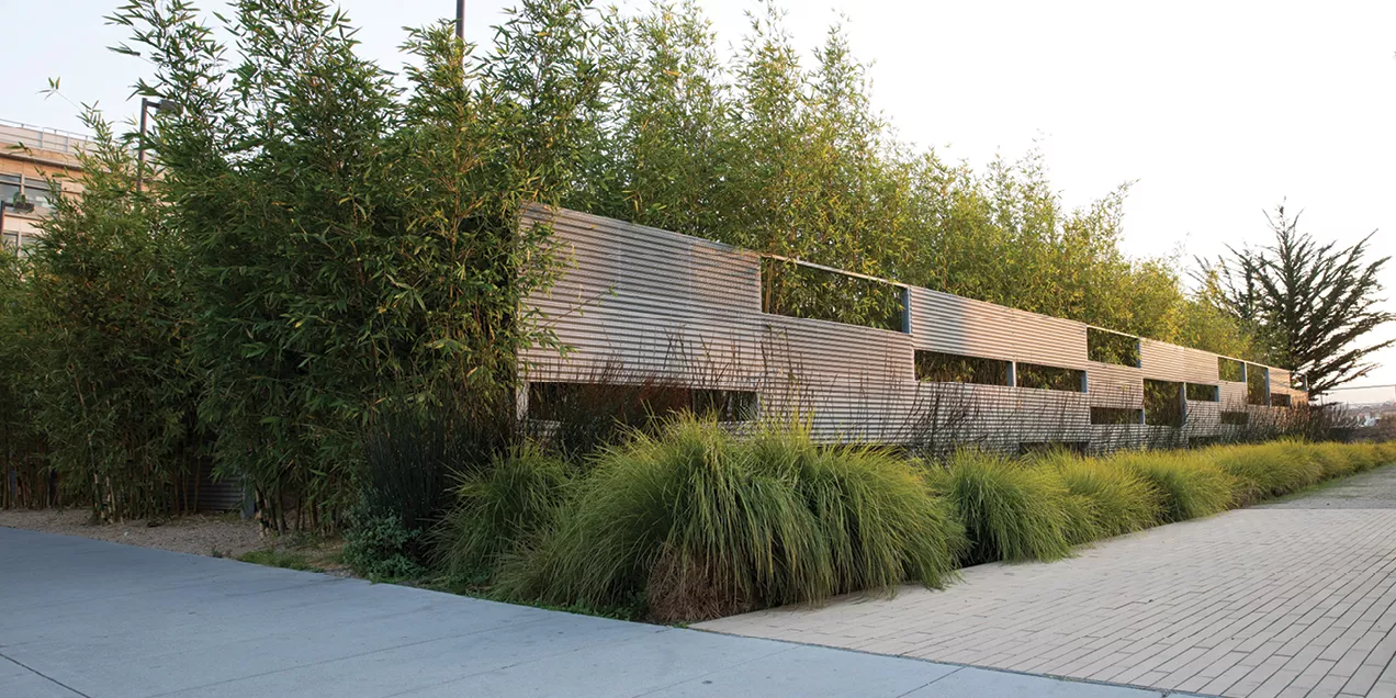 Landscaped outdoor space with dense bamboo, ornamental grasses, and a modern horizontal slatted structure alongside a paved walkway.
