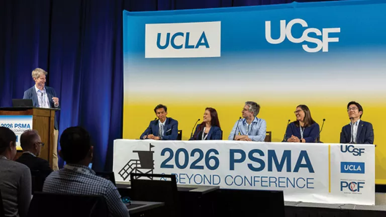 PSMA panel