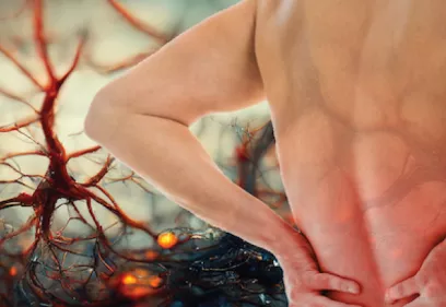 Conceptual medical illustration showing a person holding their lower back in pain, with semi-transparent nerve pathways overlaid across the body. Branching neurons and glowing nerve-like structures surround the figure, symbolizing a complex neurological or chronic pain condition. The image is designed to represent difficult-to-diagnose disorders involving the nervous system.