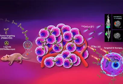 Illustration of targeted cancer theranostics showing radiolabeled antibodies binding to tumor cells. The graphic highlights the use of the 134Ce/134La PET imaging pair alongside 225Ac targeted alpha therapy, demonstrating how radioactive compounds can both visualize tumors and deliver precise radiation treatment to cancer cells.