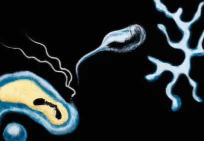 Abstract illustration depicting a neuron and a protein-like structure against a black background. Branching nerve cells appear in blue and white, while a curved cellular form and a floating elongated shape suggest neurological processes. The artwork uses a stylized, surreal approach to represent Parkinson’s disease and the role of alpha-synuclein in the brain.