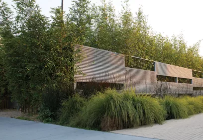 Landscaped outdoor space with dense bamboo, ornamental grasses, and a modern horizontal slatted structure alongside a paved walkway.
