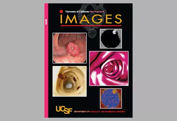 2009: IMAGES cover with a collage of endoscopic and internal medical images arranged in a grid on a black background.