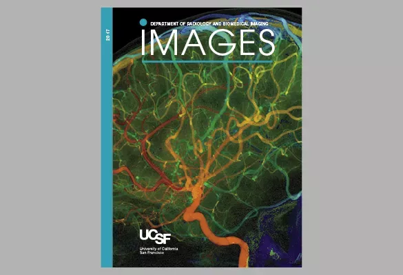 2017: IMAGES cover with a vibrant vascular network image in green, yellow, and red tones.