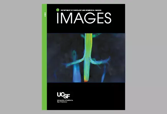 2023: IMAGES cover showing a colorful fiber-like or neural structure image centered on a black background.