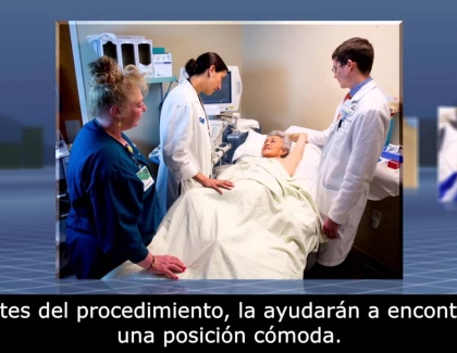 Embedded thumbnail for Ultrasound-Guided Breast Biopsy (Spanish)