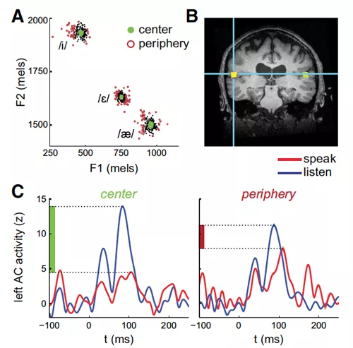 Developing Novel Clinical Applications for ESI