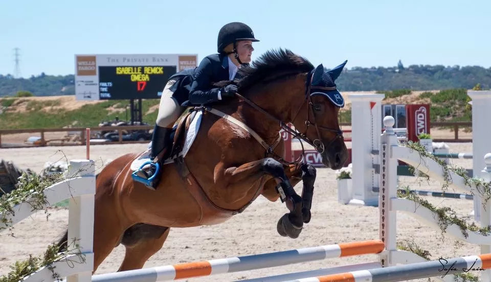 A rider wearing a helmet and riding gear jumps a brown horse over an obstacle in an outdoor equestrian arena, with a scoreboard and fencing visible in the background.