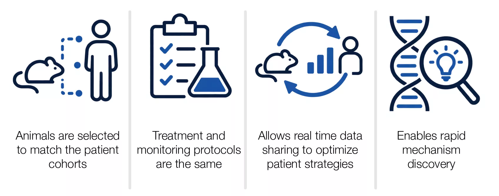 Four icons illustrating co-clinical trials: animal models matched to patient cohorts, shared treatment and monitoring protocols, real-time data exchange between animals and patients, and rapid mechanism discovery through biological research.