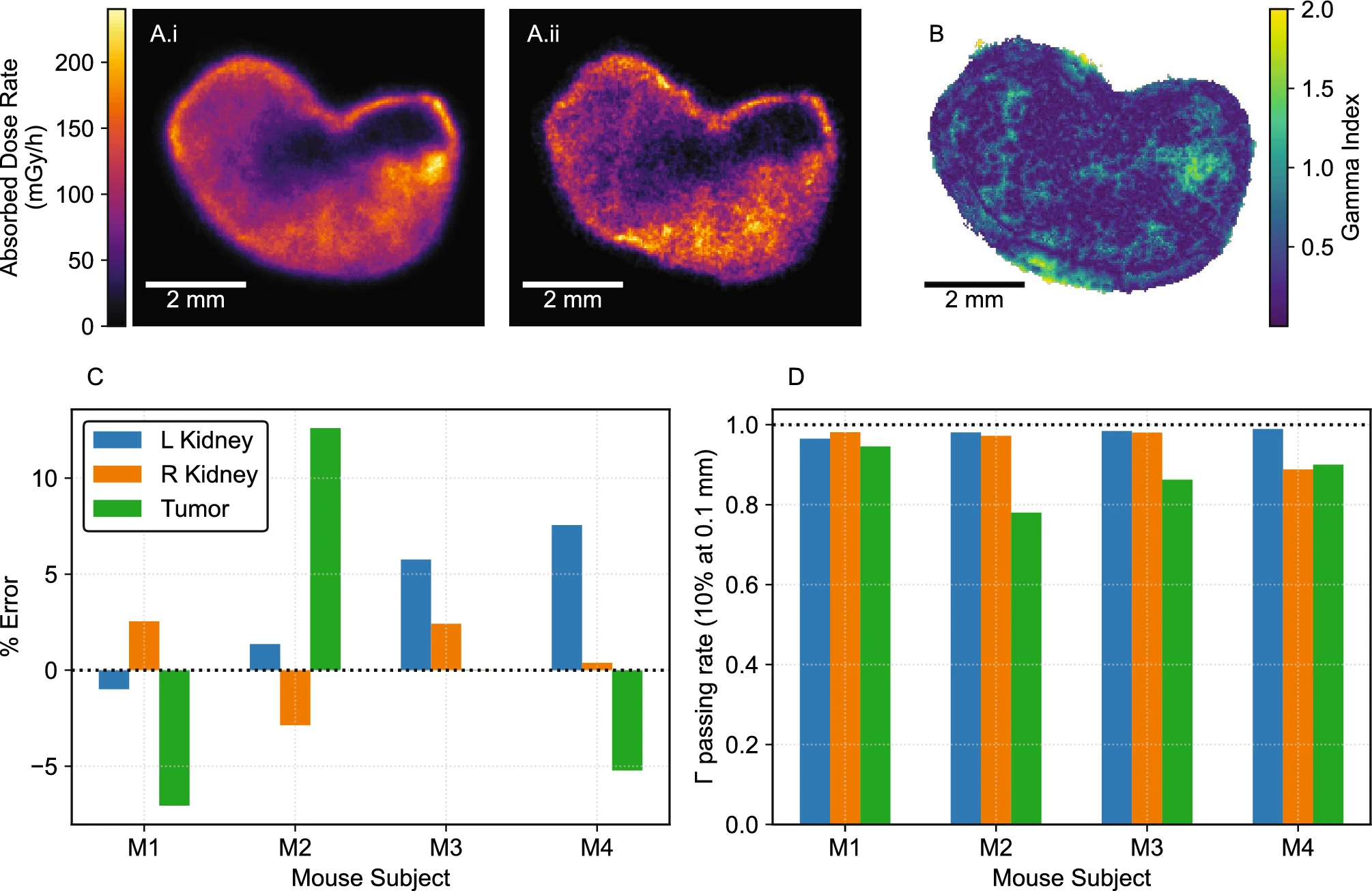 Graphs and visualizations of kidney scans