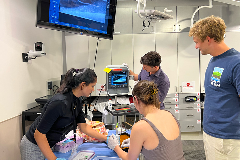 Class of students learning about ultrasound